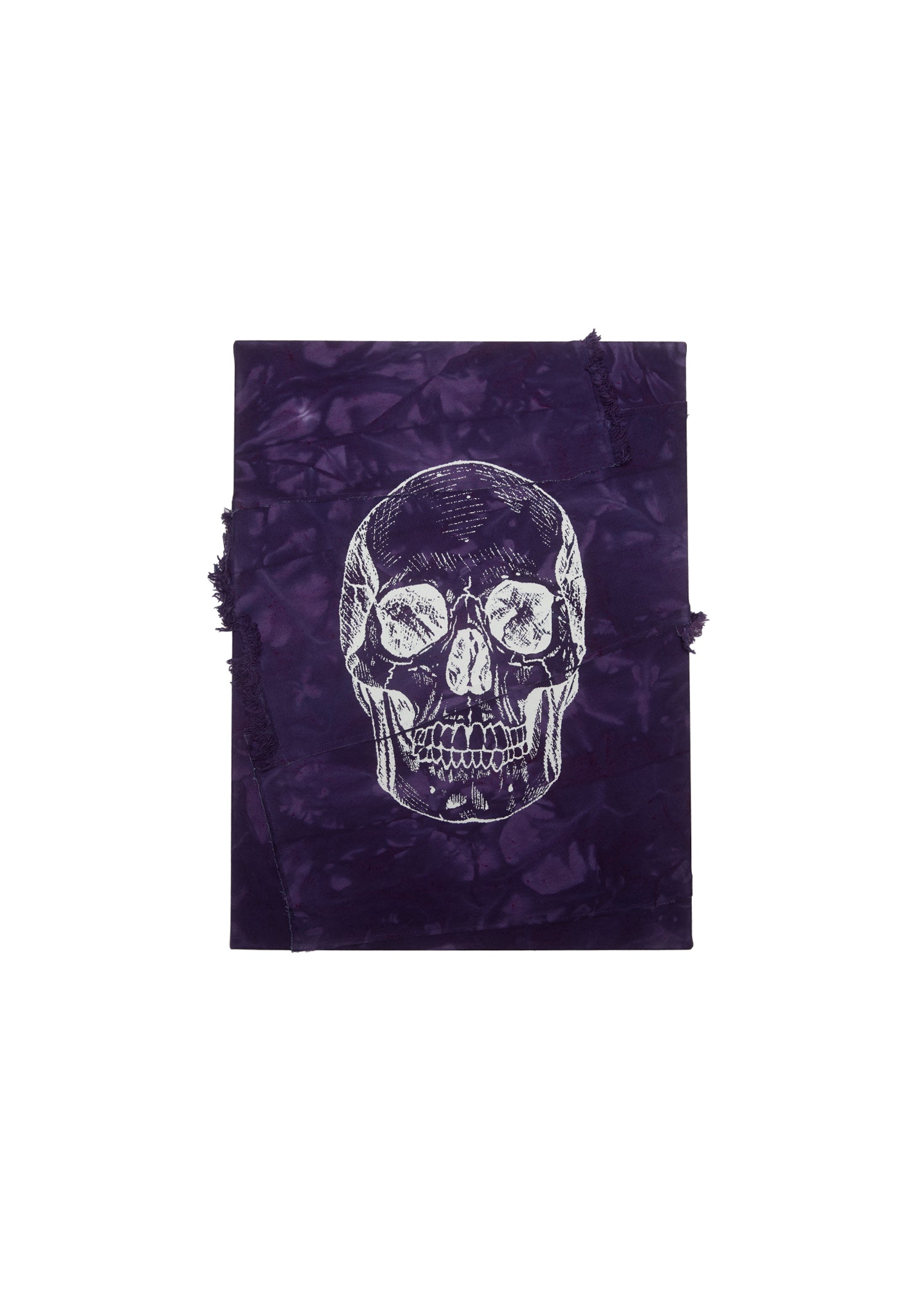 Skull Canvas [Purple Heart]